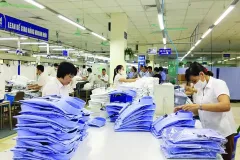 Xưởng May Melly Tuyển Dụng Vị Trí QA/QC; và Trợ Lý Tại Thành Phố Hồ Chí Minh