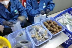 Tuyển dụng nhân viên làm việc tại Shop Nước Sâm Cô Em, Thủ Đức