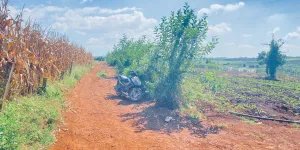 2,5 ha, hẻm tân hội, đức trọng cũ, lâm đồng