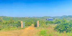 Đất hẻm ql28B, ninh gia, đức trọng cũ, lâm đồng 3,7 héc ta ( 37.000m2 )