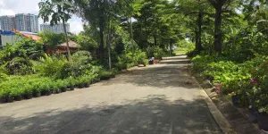 BÁN ĐẤT NỀN KDC HOÀNG ANH MINH TUẤN – ĐƯỜNG D3