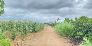 Đất hẻm gần trung tâm tân hội - lâm đồng