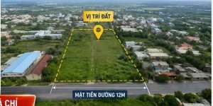 19,5 TR/M² – 7.500M² FULL THỔ CƯ, M T ĐƯỜNG 12M – VĨNH LỘC, BÌNH CHÁNH