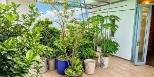 Bán nhà Biệt thự -  Hẻm 7m, Nguyễn Văn Khối ( Cây Trâm), 16x22m, 5 tầng,  hạ