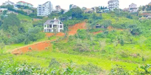 E đang có 8.000m2 hẻm khe sanh, p10 - đà lạt, lâm đồng