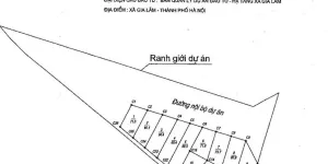 ĐẤT ĐẤU GIÁ VOI PHỤC – GIA LÂM  LÔ ĐẸP 79–80M²  MẶT TIỀN 5M  ĐƯỜNG 11M CÓ VỈA HÈ