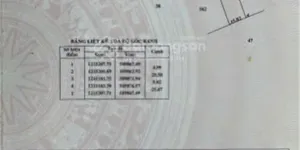 ĐẤT ĐẸP – GIÁ TỐT  – CHÍNH CHỦ CẦN BÁN Tại Thửa 521, Tờ bản đồ số 11, Xã Tân