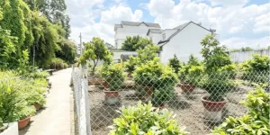 [KH174*] Đất Vườn Lài APĐ 460m2 Ngang 7m - Giá 13.x Tỷ