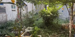 Bán đất SHR hẻm ô tô né gần Ngã Tư Ga, 83m² Thạnh Lộc 03