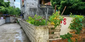 Bán đất 50m² Đa Tốn, Gia Lâm, giá 4,2 tỷ, view VinUni