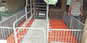 CHUỒNG HEO NÁI ĐẺ SIÊU RẺ!!!