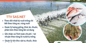 Phần mềm quản lý chi phí nuôi trồng thủy sản tại TP.HCM