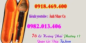 Bán sáo bầu tại Gò Vấp, TP.HCM