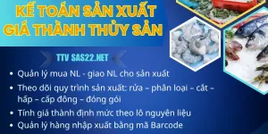 Phần mềm kế toán cho doanh nghiệp chế biến thủy sản tại TP.HCM