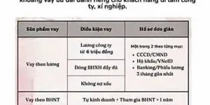 Công ty hỗ trợ tài chính Shinhan Finance