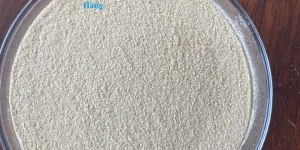Betaglucan Yeast Cell Wall, tăng cường hệ miễn dịch cho vật nuôi