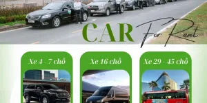 Cho Thuê Xe Có Lái Từ 4 – 45 Chỗ, Uy Tín, Giá Tốt, Chuyên Nghiệp