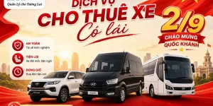 Xe Có Lái Dịp 2/9 – Đón Tận Nơi, Đi Tận Chỗ Tại Hải Phòng Và Các Tỉnh Lân Cận