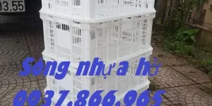 Sọt nhựa chế biến thực phẩm tại Hà Nội