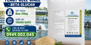 Nguyên liệu thức ăn thủy sản - Yeast Cell Wall