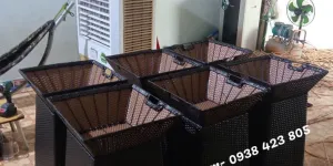 Rổ trưng bày trái cây tại Bình Thạnh, TP.HCM