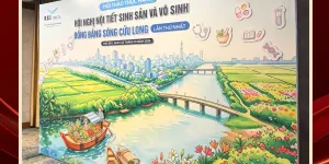 Thi công backdrop tại Cần Thơ - KTG hỗ trợ miễn phí