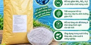 BACILLUS MEGATERIUM 10¹⁰ CFU/G – Vi Sinh Xử Lý Đáy Ao, Phân Hủy Hữu Cơ