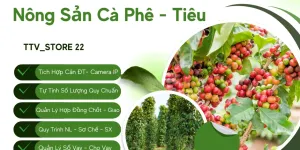 Phần mềm quản lý mua bán cà phê tại TP.HCM