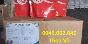 SUPER PSB Rhodo – Vi Khuẩn Quang Hợp Xử Lý Nước, Khử NH3, NO2 Ao Nuôi