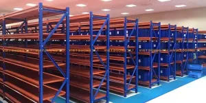 Kệ lưu mẫu phòng thí nghiệm – Kệ lưu kho phòng Lab – Lab Sample Storage shelves