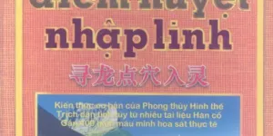 Tầm long điểm huyệt