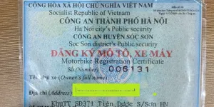 Bán xe máy SH 125 màu mận tại Hà Nội giá 85 triệu