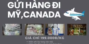 Dịch vụ vận chuyển quốc tế; nhanh chóng với EMERY từ Việt Nam