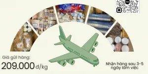 Gửi thực phẩm đặc trưng đi Mỹ và Canada giá rẻ