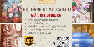 Gửi hàng đi Mỹ và Canada giá rẻ uy tín
