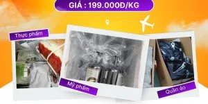 Gửi hàng đi Mỹ &amp; Canada giá rẻ - uy tín tại TVE