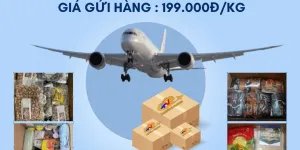 Gửi hàng đi Mỹ và Canada giá ưu đãi tại EMERY