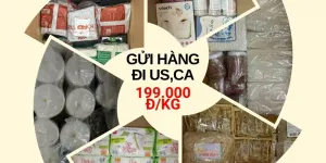 Dịch vụ vận chuyển quốc tế; giá rẻ đi Mỹ và Canada