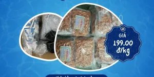 Em nhận gửi hàng đi Mỹ và Canada giá chỉ 199.000đ/kg.