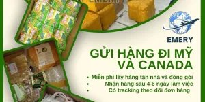 Em nhận gửi hàng đi Mỹ Canada tại EMERY