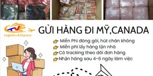 Nhận gửi hàng đi Mỹ, Canada giá rẻ 199.000đ/kg