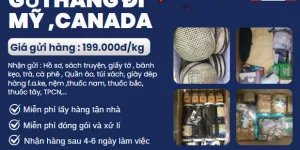 Gửi hàng đi Mỹ, Canada giá rẻ bất ngờ