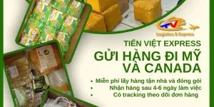 Vận chuyển hàng đi nước ngoài giá tốt liên hệ TVE