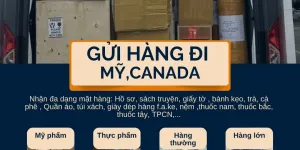 Dịch vụ vận chuyển tiết; kiệm đến Mỹ và Canada