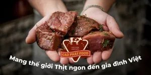 Tuyển gấp tài xế ô tô chạy xe Van làm tại khu vực nội thành HCM