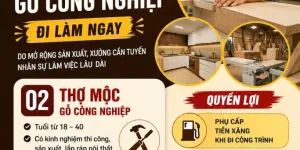 LIFEHOUSE tuyển thợ ván công nghiệp ở Đà Nẵng