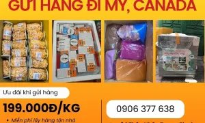 Ưu đãi khủng khi gửi hàng đi Mỹ và Canada tại Tiến Việt Express