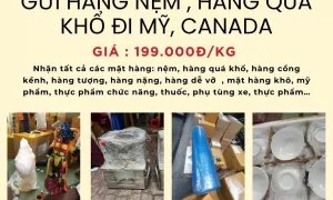 Gửi hàng đi Mỹ và Canada siêu tiết kiệm đồng giá 199.000đ/kg