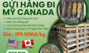 Em nhận gửi hàng door to door từ Việt sang Mỹ , Canada