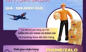 Vận chuyển hàng không, không lo về giá tại Tiến Việt